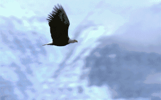 【企业动态】奥飞娱乐新增1件判决结果涉及著作权权属、侵权纠纷