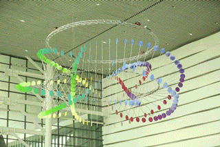 贝达药业：公司已建立新药项目推进的动态评估机制